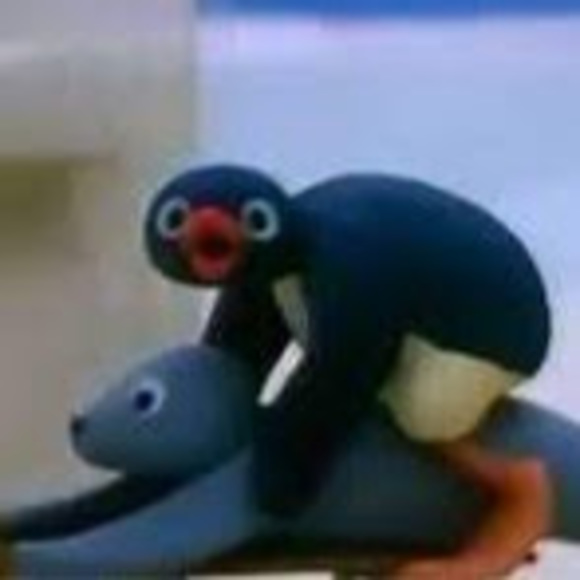 Meet your Posher, Pingu - Picture 1 of 1